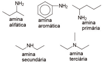 Camiseta Interior da síntese da proteína (biologia celular)